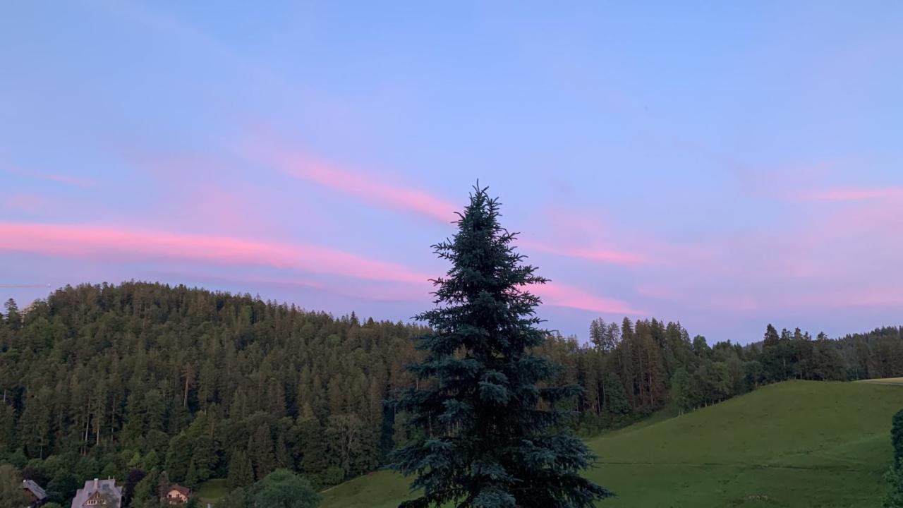 Apartment Rotzinger Hinterzarten